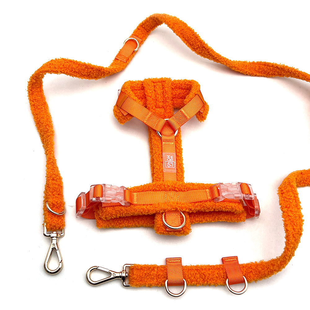 Hundegeschirr-Set Teddy Orange-3
