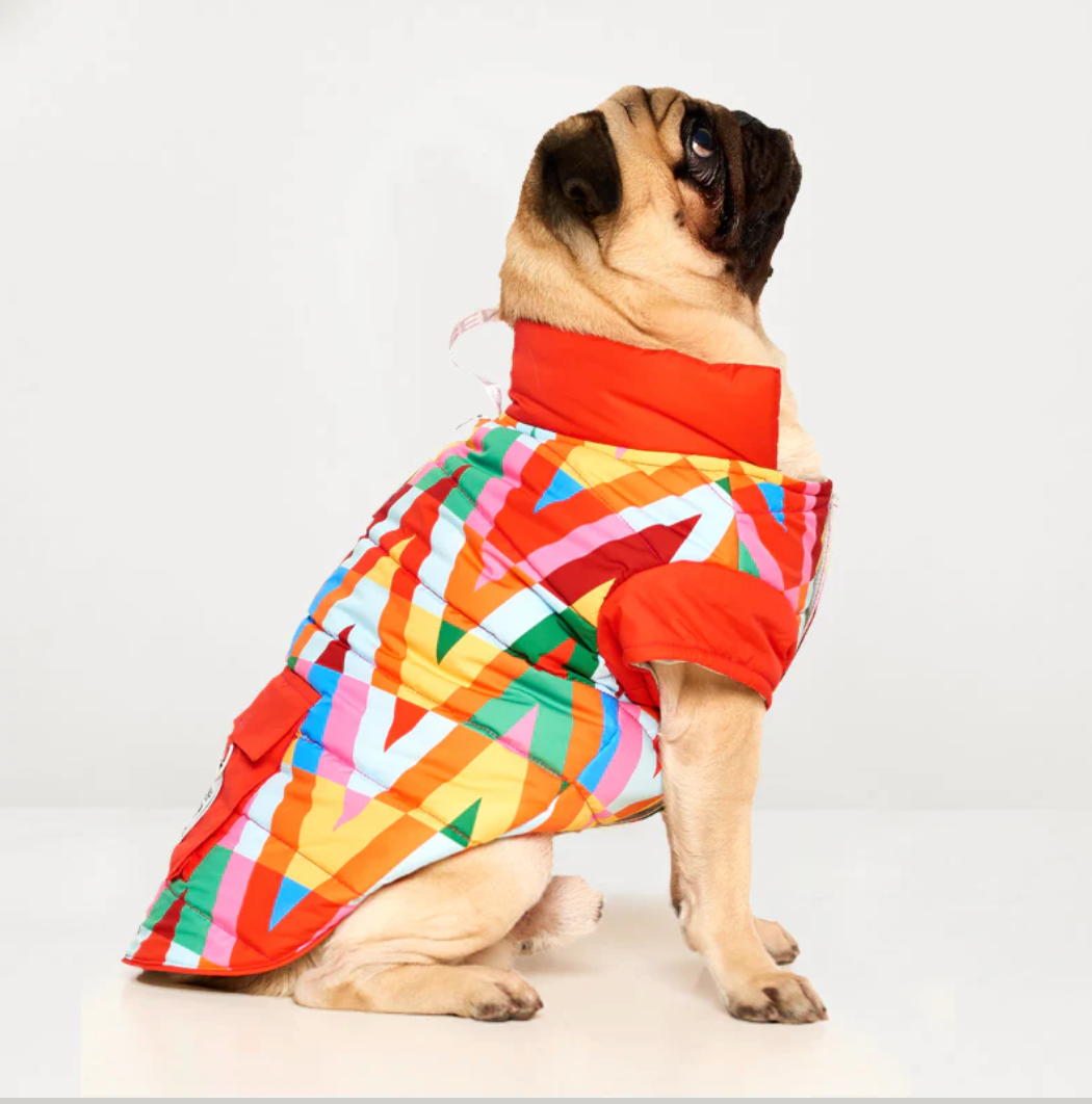 Color Splash Wasserdichte Pufferjacke-1