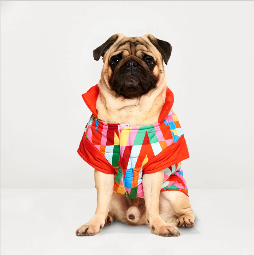 Color Splash Wasserdichte Pufferjacke-2