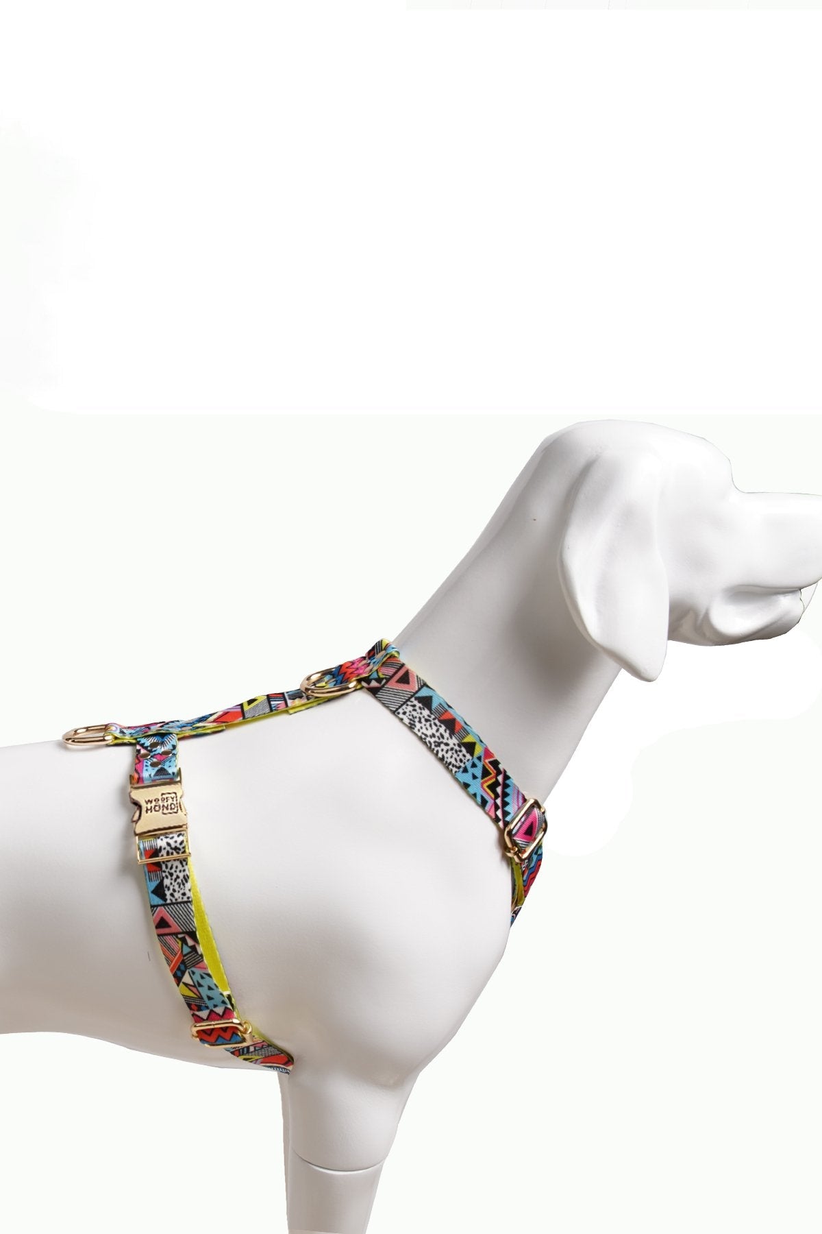 Hundegeschirr Ethnic-Vibrance-2