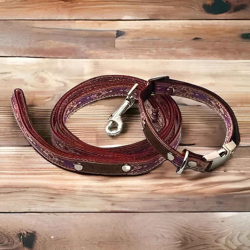 "The Django" Designer Dog Collar Set by Finnigan's-0